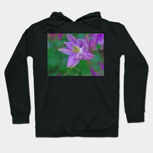 Purple Wings Hoodie